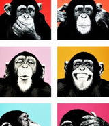 1 Panel Chimpanzee Framed Wall Canvas Art | Octo Treasures