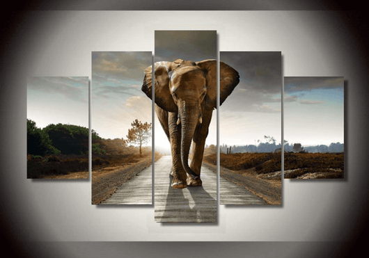 5 Pieces Multi Panel Modern Home Decor Framed Africa Elephant Animal Wall Canvas Art | Octo Treasures