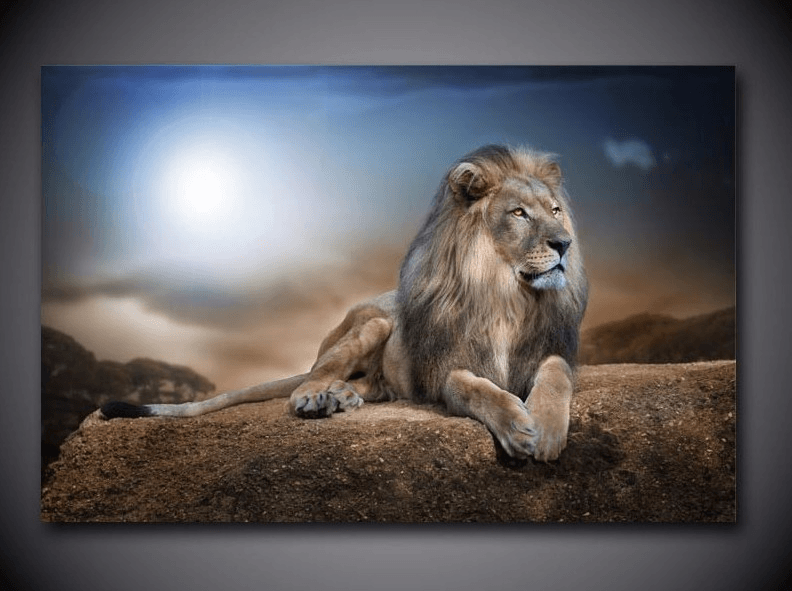 1 Panel Modern Home Decor Framed Lion Pride Large Wall Canvas Art | Octo Treasures