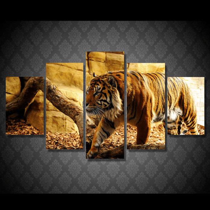 5 Panel Wild Tiger Framed Animal Wall Canvas Art | Octo Treasures