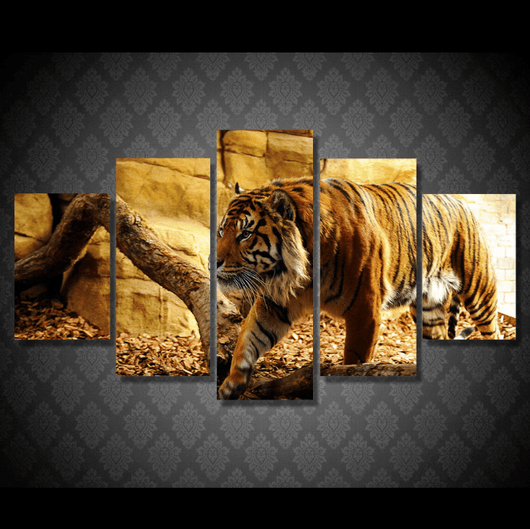 5 Panel Wild Tiger Framed Animal Wall Canvas Art | Octo Treasures