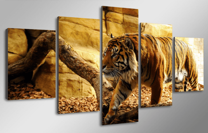5 Panel Wild Tiger Framed Animal Wall Canvas Art | Octo Treasures