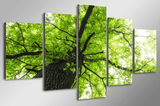 5 Pieces Multi Panel Modern Home Decor Framed Spring Tree Scenery Wall Canvas Art | Octo Treasures