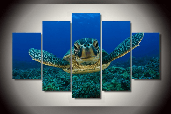 5 Pieces Multi Panel Modern Home Decor Framed Ocean Sea Turtle Wall Canvas Art | Octo Treasures