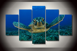 5 Pieces Multi Panel Modern Home Decor Framed Ocean Sea Turtle Wall Canvas Art | Octo Treasures