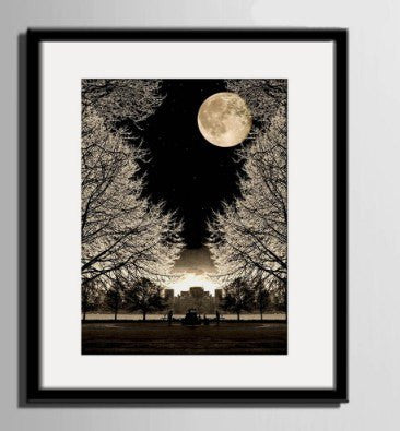 1 Panel Tree Below The Moon Framed Wall Canvas Art | Octo Treasures