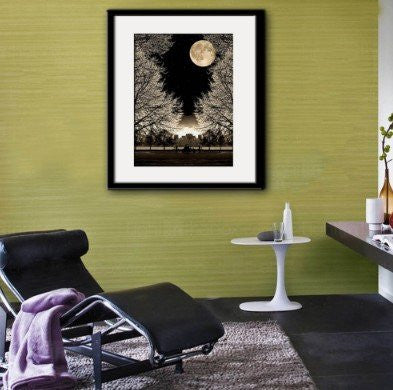 1 Panel Tree Below The Moon Framed Wall Canvas Art | Octo Treasures