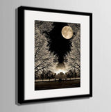 1 Panel Tree Below The Moon Framed Wall Canvas Art | Octo Treasures