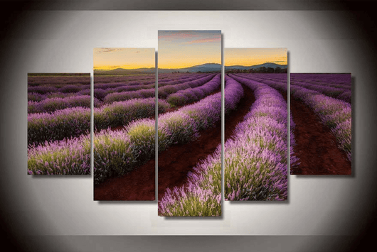 5 Panel Lavender Field Framed Wall Canvas Art | Octo Treasures
