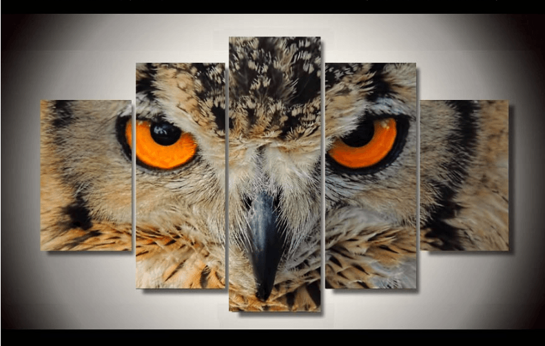 5 Pieces Multi Panel Modern Home Decor Framed Night Owl Animal Wall Canvas Art | Octo Treasures