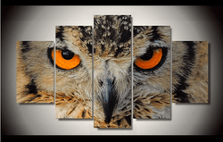 5 Pieces Multi Panel Modern Home Decor Framed Night Owl Animal Wall Canvas Art | Octo Treasures