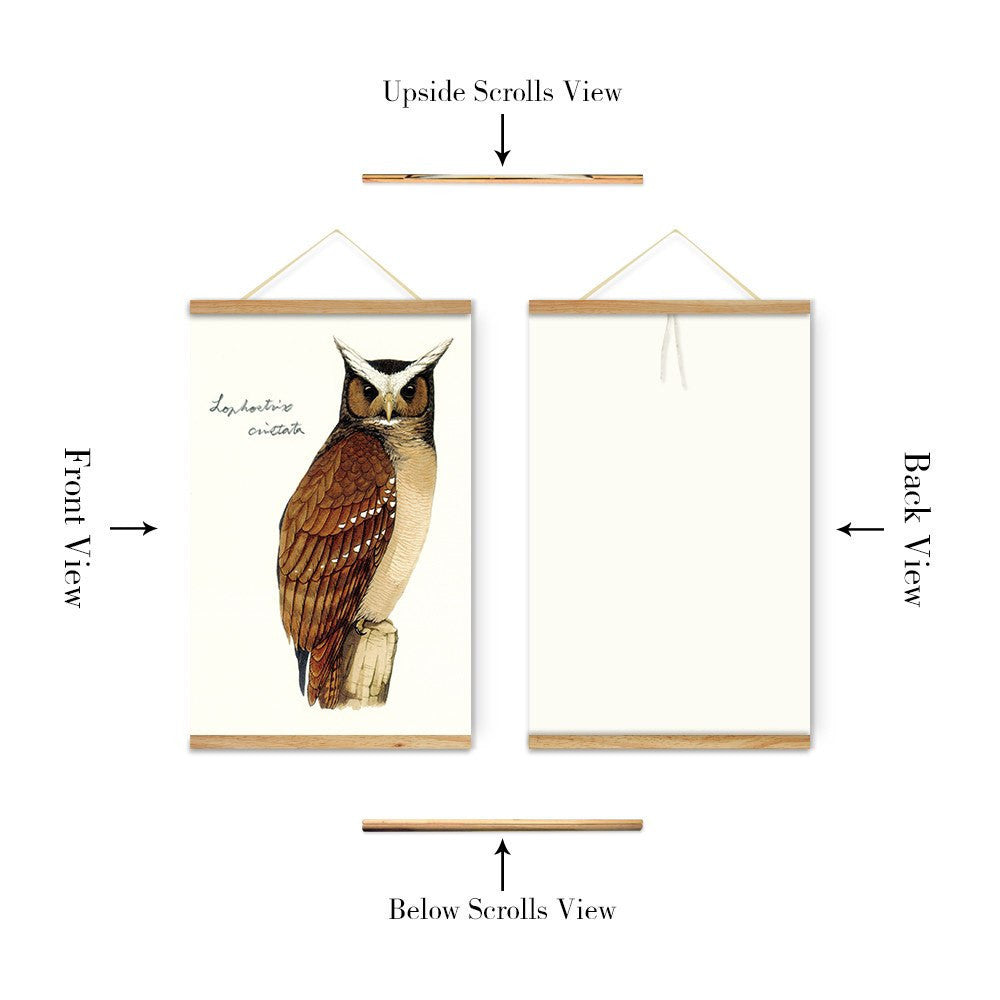 Brown Owl 2 Panel Decoration Wooden Scroll Wall Art | Octo Treasures