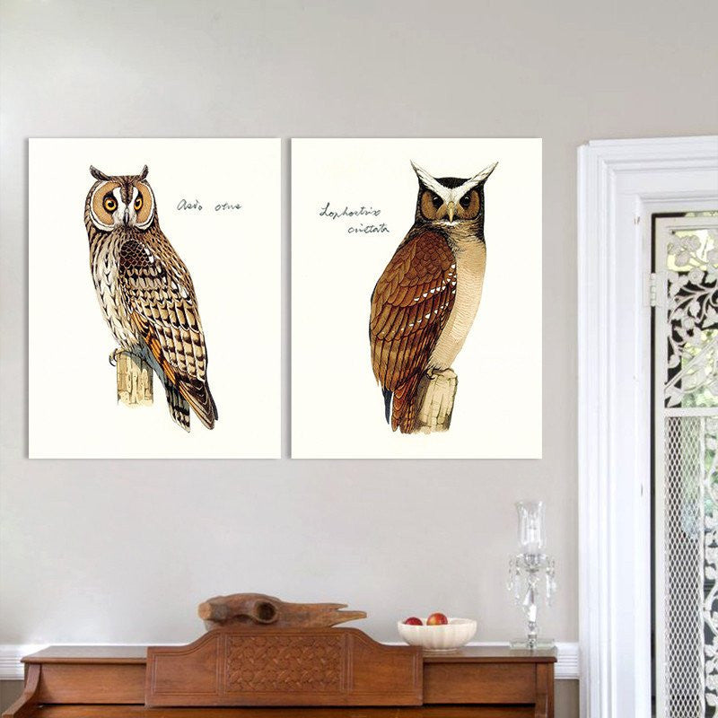 2 Panel Brown Owl Birds Nighthawk Animal Canvas Unframed Wall Art | Octo Treasures