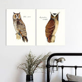 2 Panel Brown Owl Birds Nighthawk Animal Canvas Unframed Wall Art | Octo Treasures