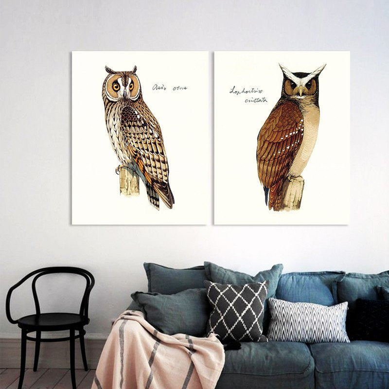 2 Panel Brown Owl Birds Nighthawk Animal Canvas Unframed Wall Art | Octo Treasures