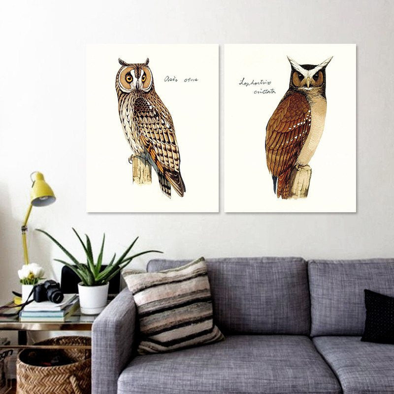 2 Panel Brown Owl Birds Nighthawk Animal Canvas Unframed Wall Art | Octo Treasures