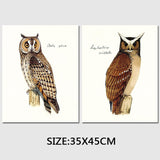 2 Panel Brown Owl Birds Nighthawk Animal Canvas Unframed Wall Art | Octo Treasures