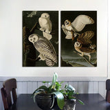 2 Panel Cool Animals Birds White Brown Owls Unframed Canvas Wall Art | Octo Treasures