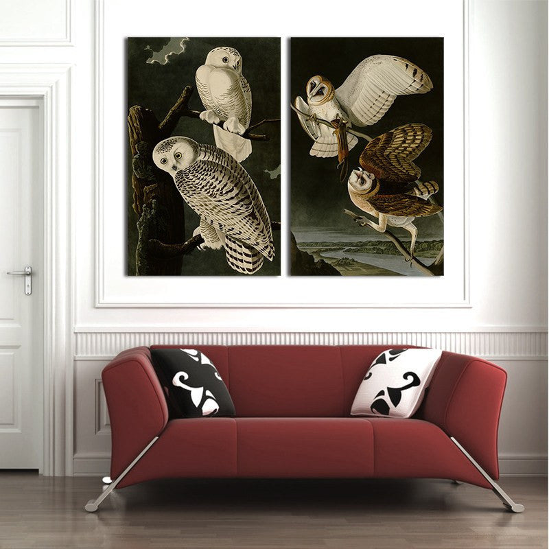 2 Panel Cool Animals Birds White Brown Owls Unframed Canvas Wall Art | Octo Treasures