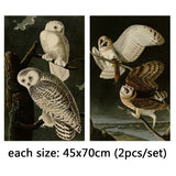 2 Panel Cool Animals Birds White Brown Owls Unframed Canvas Wall Art | Octo Treasures