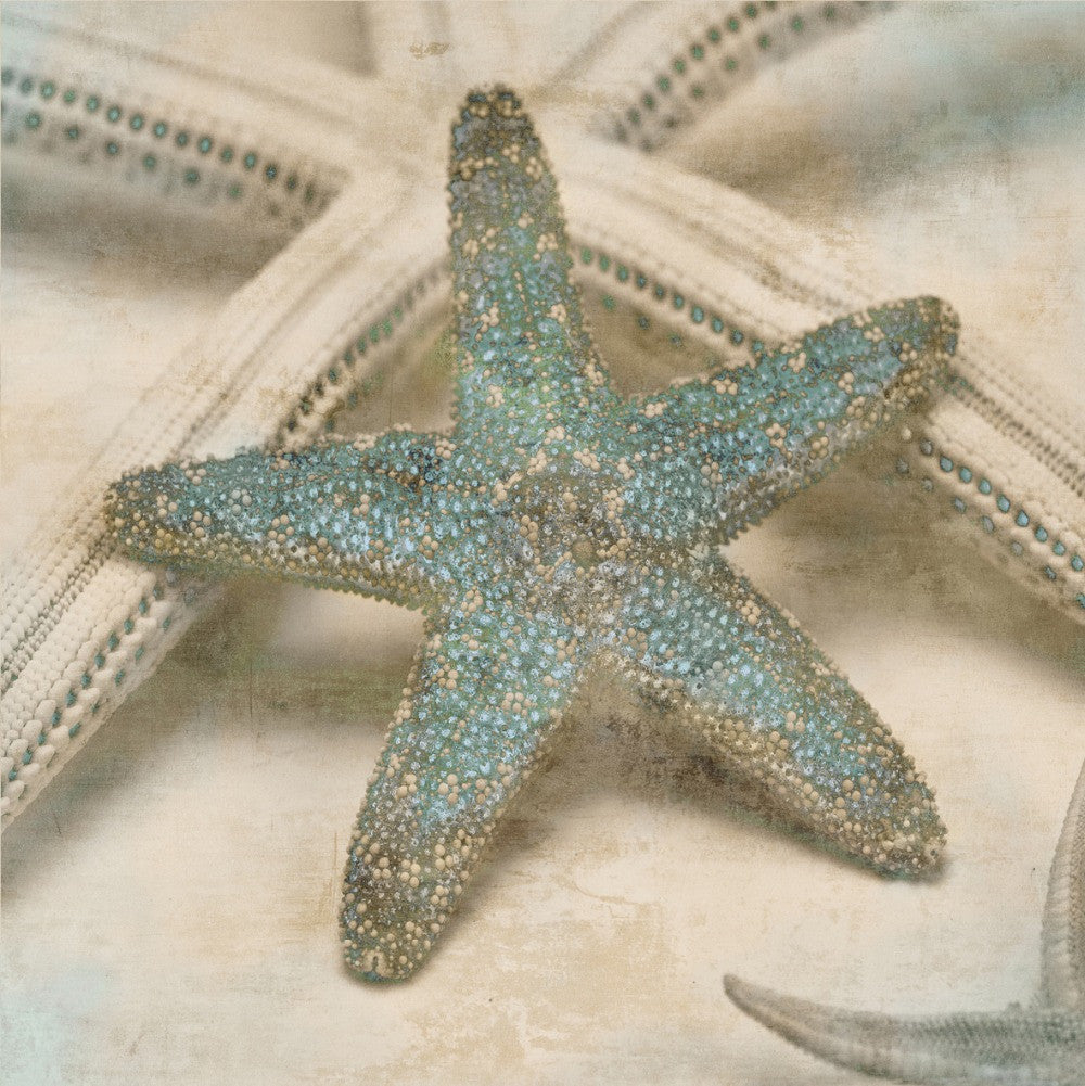 Gray-blue ocean canvas wall art posters and prints home decor painting the living room office picture cuadros modernos | Octo Treasures