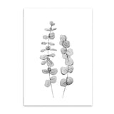 Nordic Style Watercolor plant Canvas Print Unframed  Wall Art | Octo Treasures