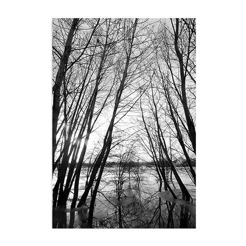 Nordic Style Deer Forest Canvas Print Unframed Wall Art | Octo Treasures