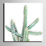 3 Panel Still Life Cactus Natural Landscape Framed Modern Wall Canvas Art | Octo Treasures