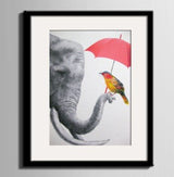 1 Panel Elephant and Colorful Bird Framed Wall Canvas Art | Octo Treasures