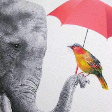 1 Panel Elephant and Colorful Bird Framed Wall Canvas Art | Octo Treasures