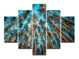 5 Panel Nature Forest Landscape Framed Modern Wall Canvas | Octo Treasures