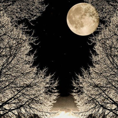 1 Panel Tree Below The Moon Framed Wall Canvas Art | Octo Treasures